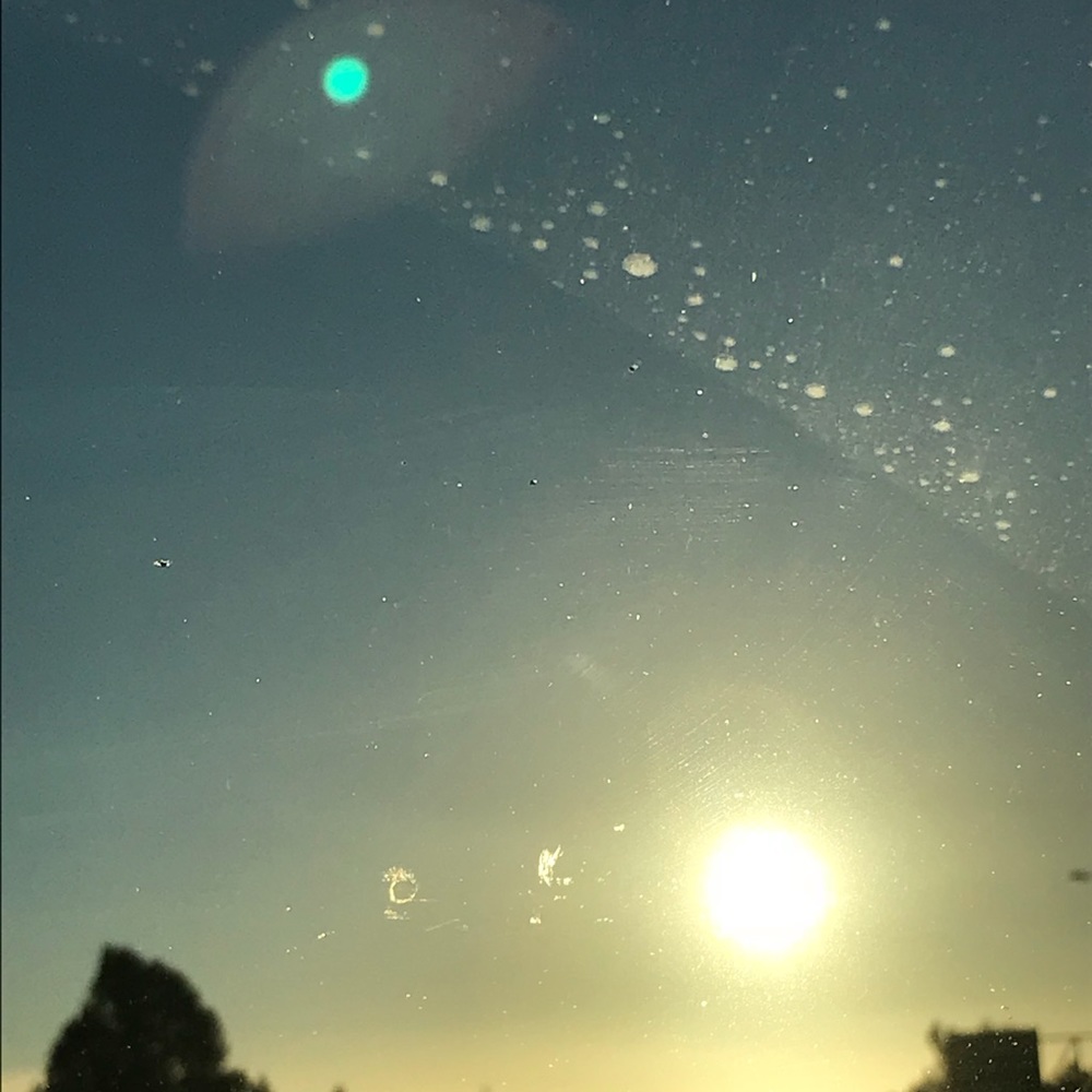 Meet your Posher, Madee